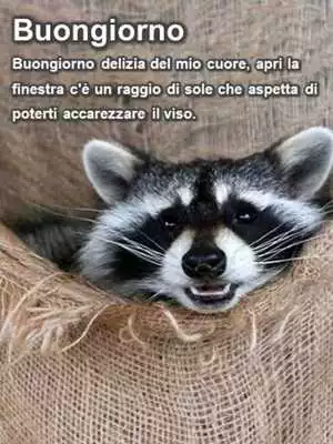 Play Good Morning My Friends in Italian