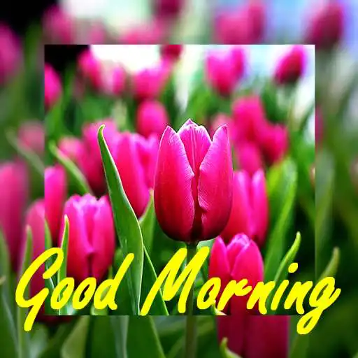 Run free android online Good Morning New APK