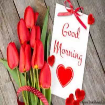 Play Good Morning Pictures
