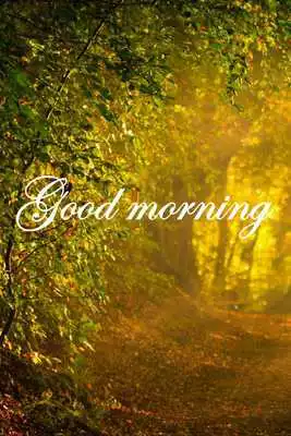 Play Good Morning Quotes