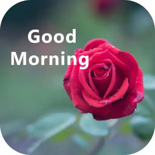 Play good morning rose APK Play good morning rose APK