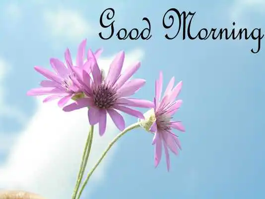 Play Good Morning