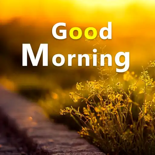 Play Good Morning Shayari  Wishes APK