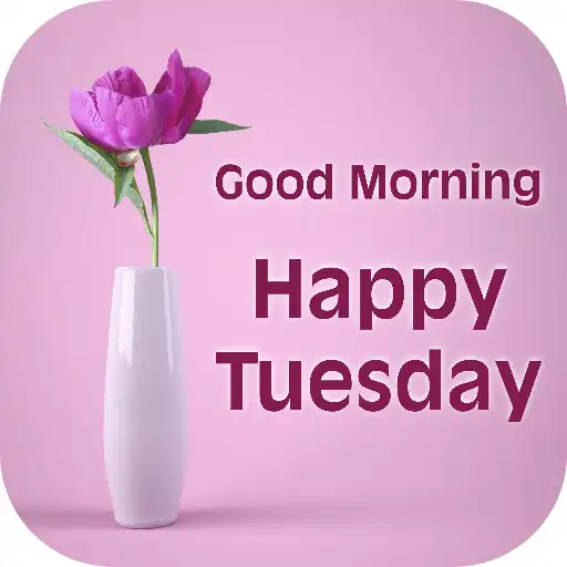 Play good morning tuesday APK Play good morning tuesday APK