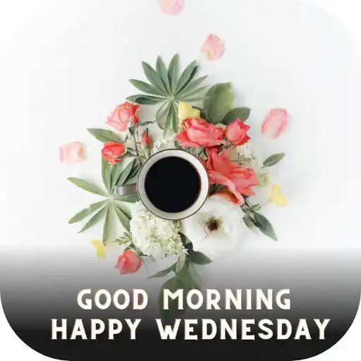 Play good morning wednesday APK Play good morning wednesday APK