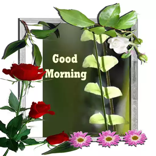 Play Good Morning Wish APK Play Good Morning Wish APK