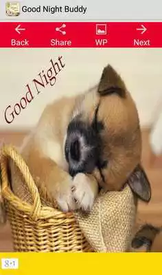 Play Good Night Buddy