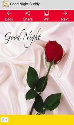 Play Good Night Buddy