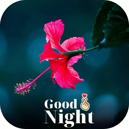 Play good night flowers images APK Play good night flowers images APK