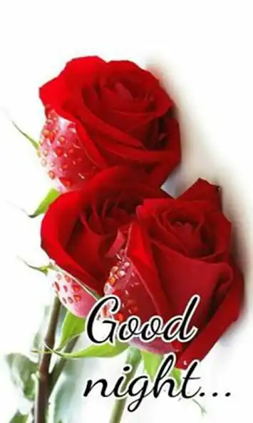 Play Good Night Images and Love Messages  and enjoy Good Night Images and Love Messages with UptoPlay