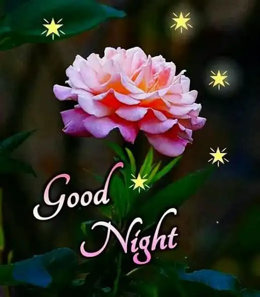 Play GoodNight Images GIF 2023  and enjoy GoodNight Images GIF 2023 with UptoPlay