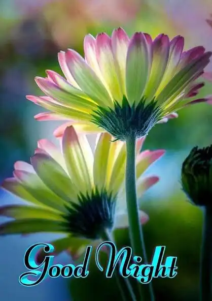Play GoodNight Images GIF 2023 as an online game GoodNight Images GIF 2023 with UptoPlay