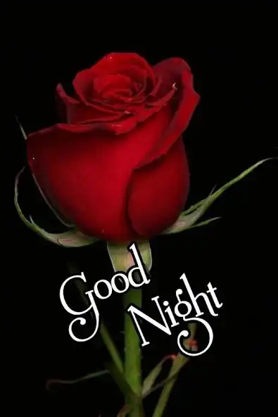 Play Good Night Love Images 2023  and enjoy Good Night Love Images 2023 with UptoPlay
