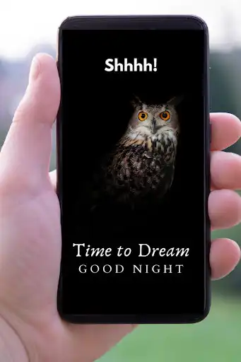 Play Good Night Quotes 2022  and enjoy Good Night Quotes 2022 with UptoPlay