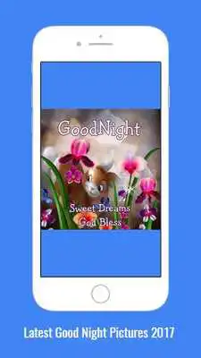 Play Good night