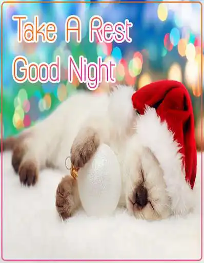 Play Good Night Wishes Images