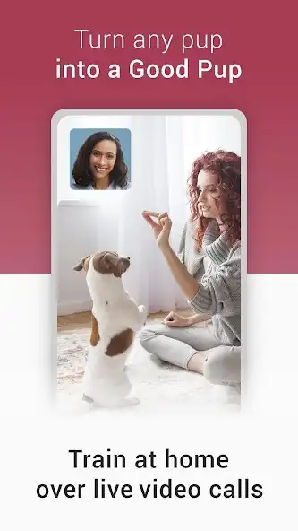 Play GoodPup: Dog Training at Home  and enjoy GoodPup: Dog Training at Home with UptoPlay