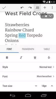 Play Google Docs