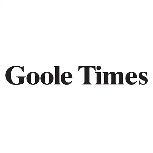 Play Goole Times Newsspaper APK