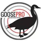 Free play online Goose Calls, Canada Goose Call APK