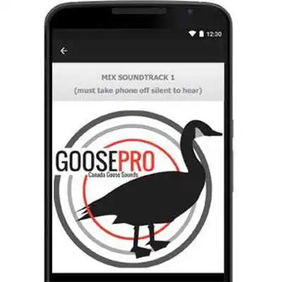 Play Goose Calls, Canada Goose Call
