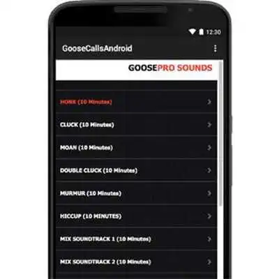 Play Goose Calls, Canada Goose Call