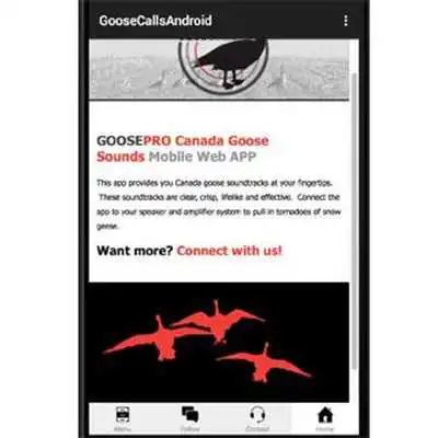 Play Goose Calls, Canada Goose Call