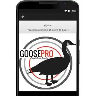 Play Goose Calls, Canada Goose Call