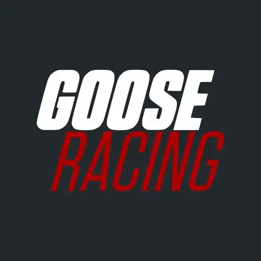 Play Goose Racing APK
