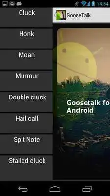 Play Goose Talk