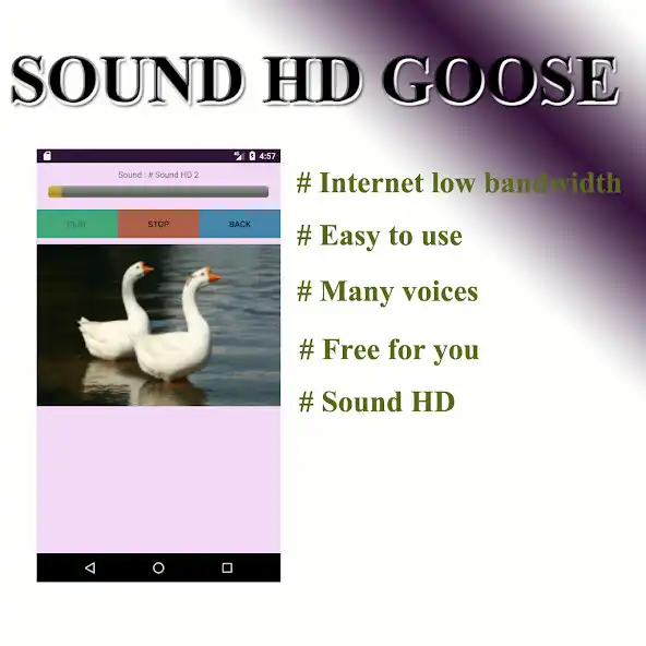 Play Goose voice  and enjoy Goose voice with UptoPlay
