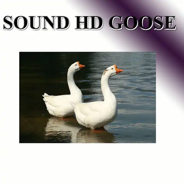Play Goose voice as an online game Goose voice with UptoPlay