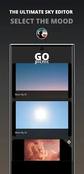 Play GoPicnic as an online game GoPicnic with UptoPlay