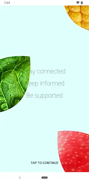 Play Gordon GROVE  and enjoy Gordon GROVE with UptoPlay