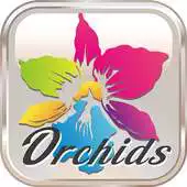 Free play online Gorgeous Garden APK