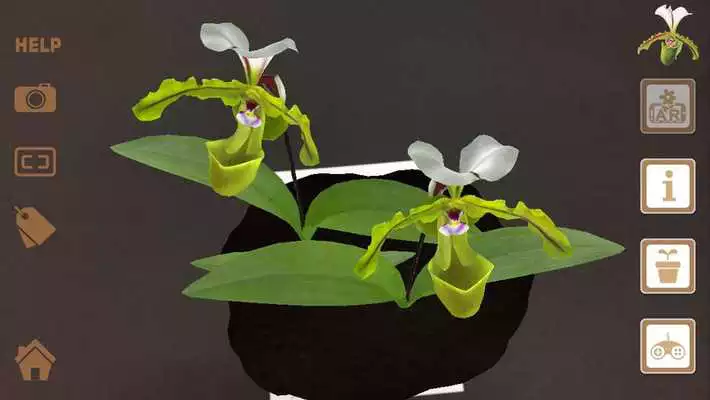 Play Gorgeous Garden