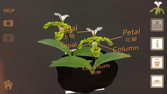 Play Gorgeous Garden