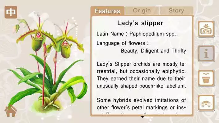 Play Gorgeous Garden