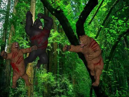 Play Gorilla Bear Battle