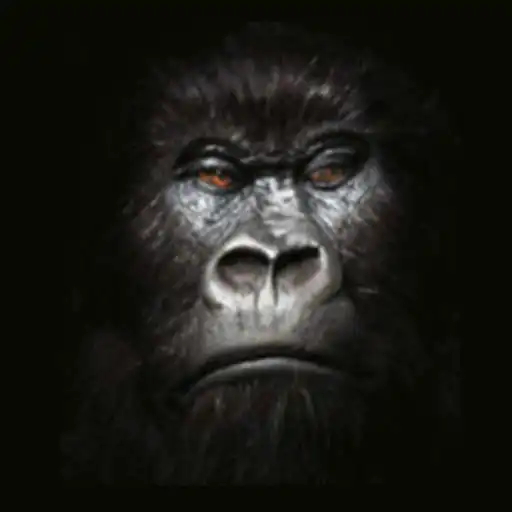 Play Gorilla Wallpaper APK