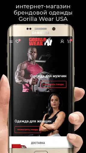 Play Gorilla Wear Moscow  and enjoy Gorilla Wear Moscow with UptoPlay