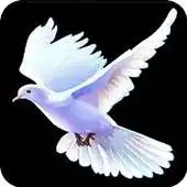 Free play online Gospel Music 2018 APK Free play online Gospel Music 2018 APK