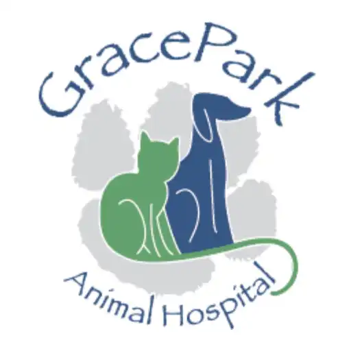 Play Grace Park Animal Hospital APK