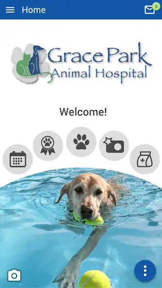 Play Grace Park Animal Hospital and enjoy Grace Park Animal Hospital with UptoPlay Play Grace Park Animal Hospital and enjoy Grace Park Animal Hospital with UptoPlay