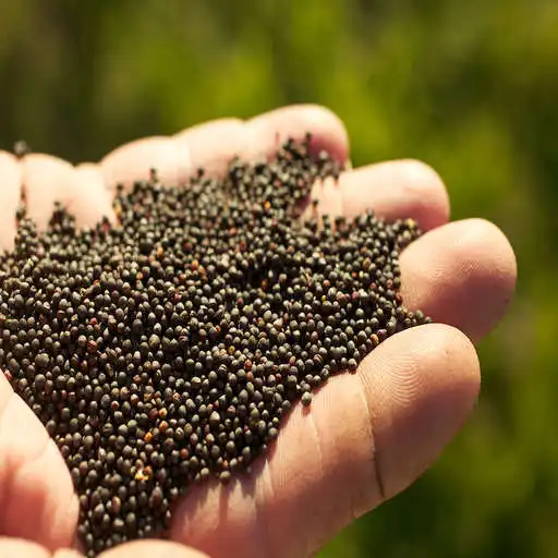 Free play online Grain Drill Calibration Calc APK