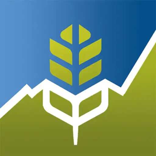 Free play online Grain Market APK