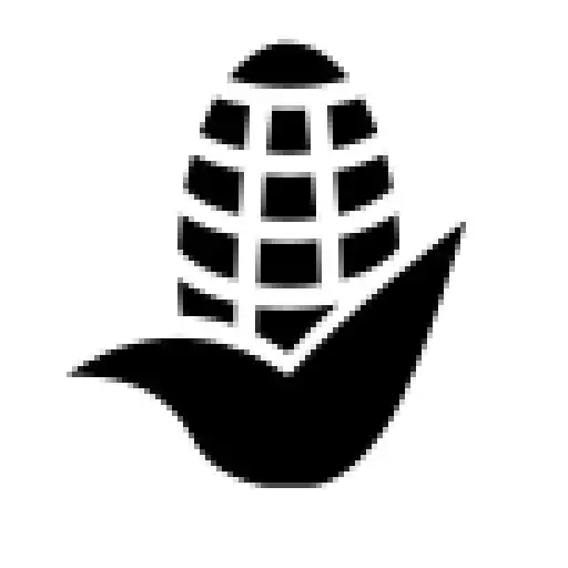 Play Grains, fruits and food APK