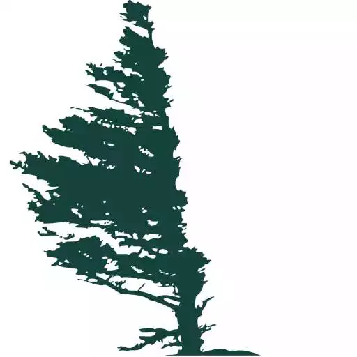 Play Grandfather Mountain APK