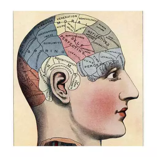 Run free android online Grandmaster of Memory APK