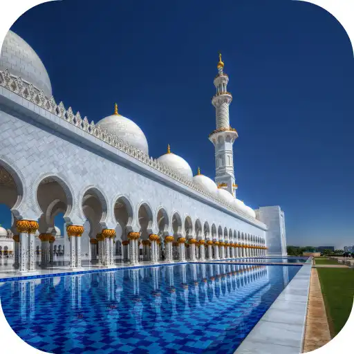 Play Grand Mosque Video Wallpaper APK